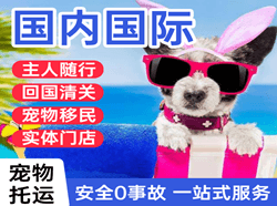 满洲里机场货运国际宠物托运 【国